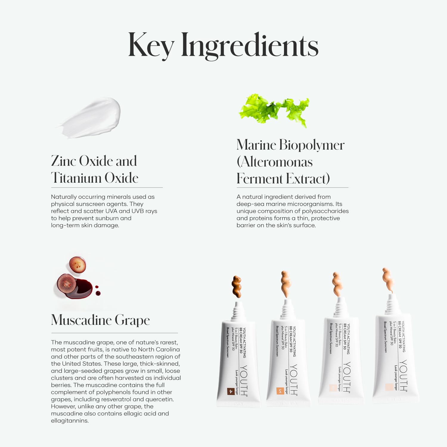 Shaklee 5-in-1 beauty balm tube with SPF 30 showing product details