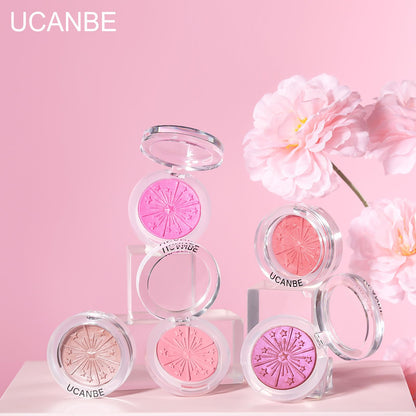 UCANBE USA imported cosmetics authentic cheek makeup compact case angled angle