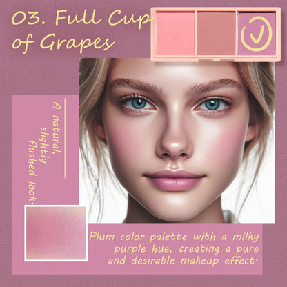 Kootinn imported three color face blusher set packaging with inclusion brush