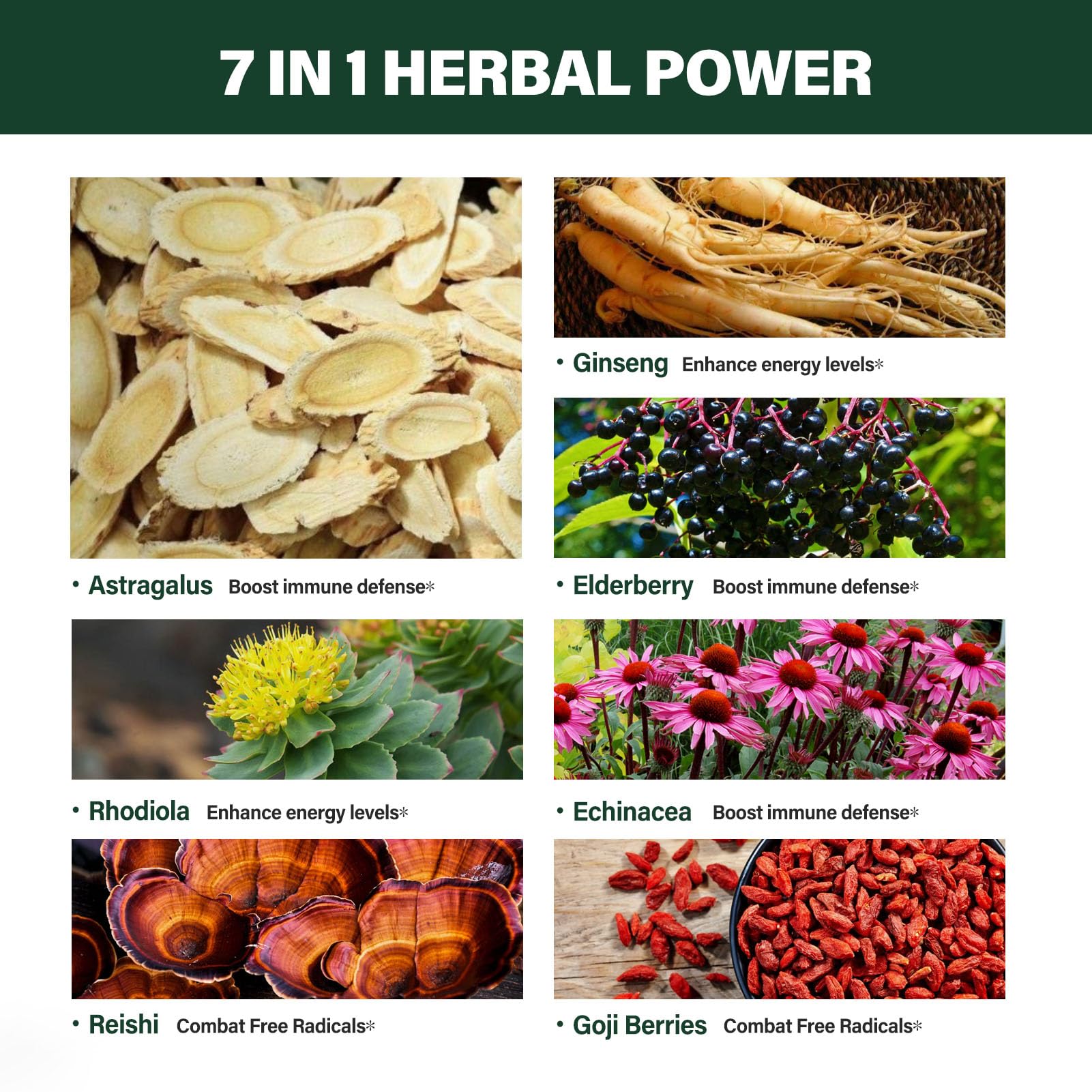 Verdeherb Astragalus Root Extract packaging highlight showing key ingredients like Ginseng, Elderberry, and Echinacea.