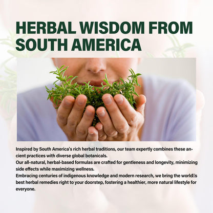 Side view of Verdeherb Astragalus Herbal Supplement bottle showing clean dietary facts and non-GMO verification labels.