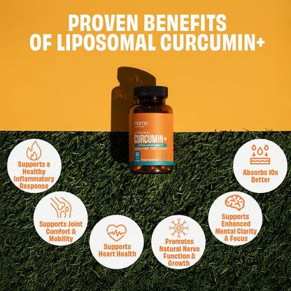Manna Vitamins Evolved Curcumin softgels packaging