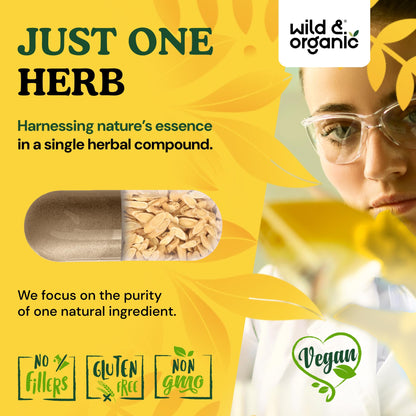 Non GMO plant based astragalus root capsules for vitality and defense