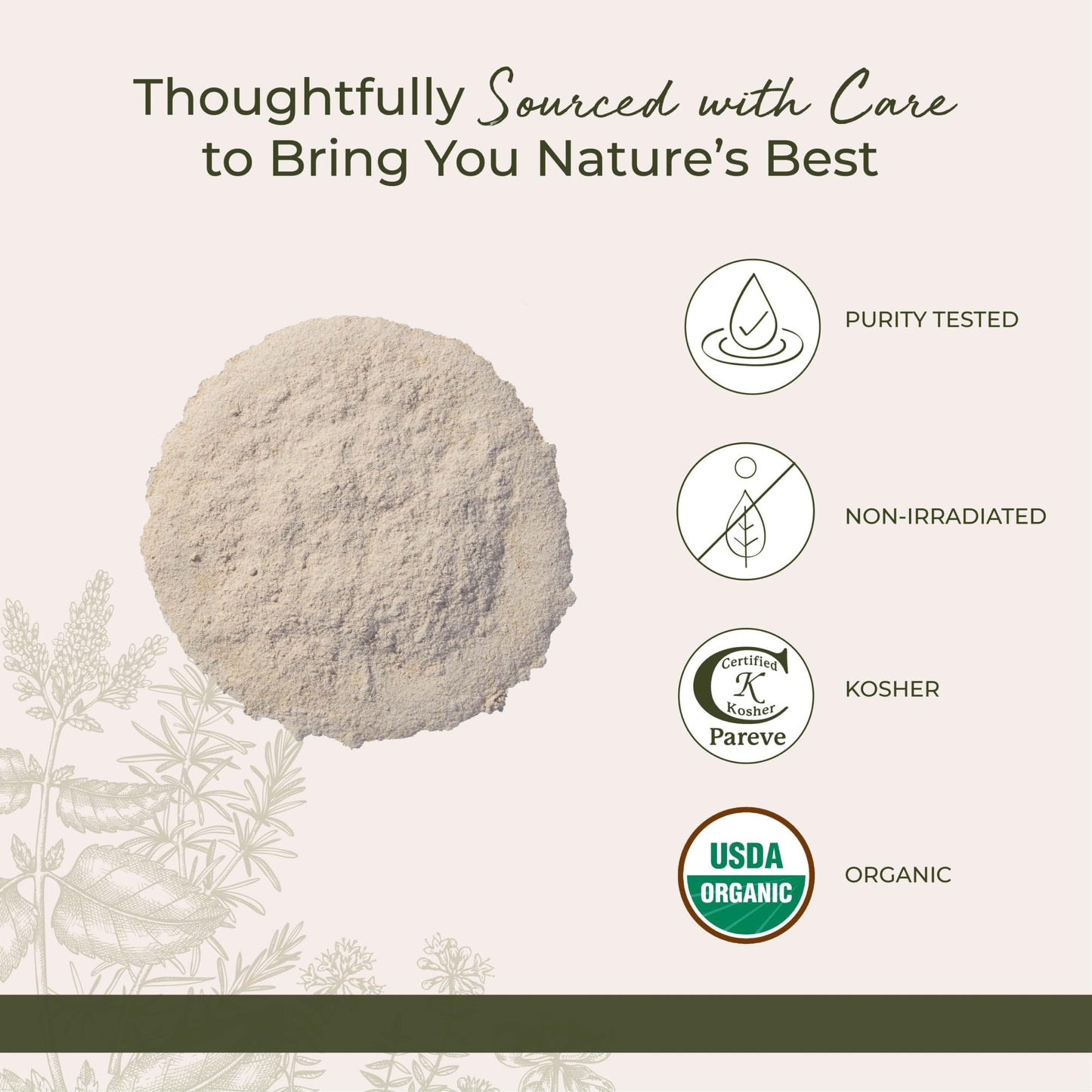 Authentic organic astragalus root powder being spooned out of its protective bulk packaging.