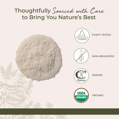 Authentic organic astragalus root powder being spooned out of its protective bulk packaging.