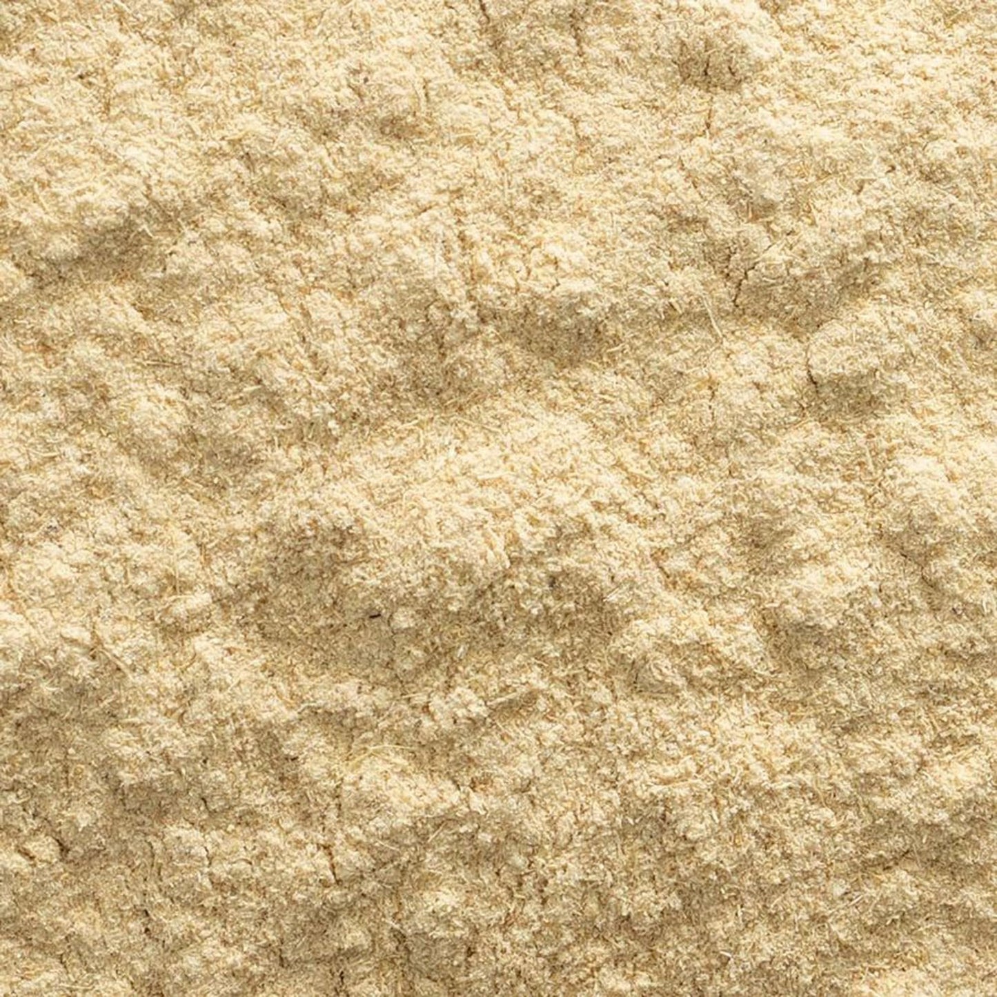 Finely milled Frontier Co-op Astragalus Root Powder for immune support smoothies and wellness teas