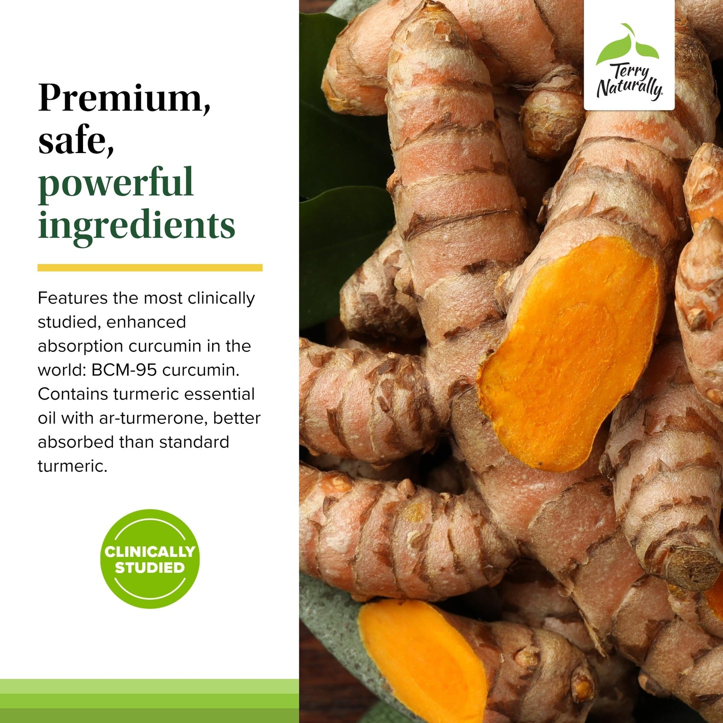 Terry Naturally Curamin vegan formula branding and safety information