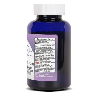 Full collection of Nootropics Depot longevity and cellular aging support supplements showcasing authentic packaging variations.