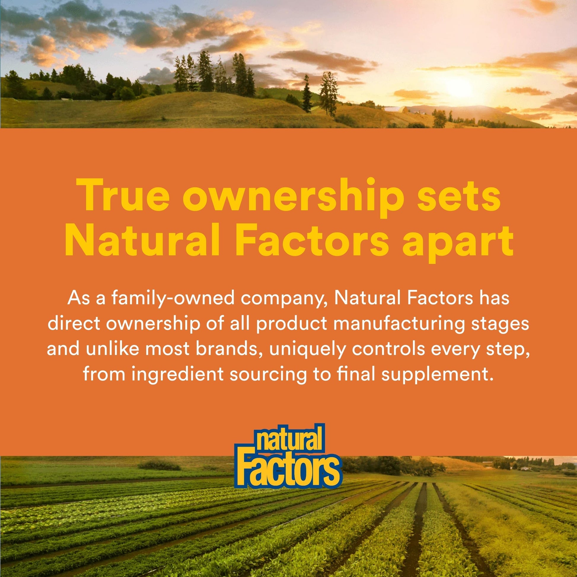 Natural Factors CurcuminRich Theracurmin imported USA health supplement