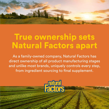Natural Factors CurcuminRich Theracurmin imported USA health supplement