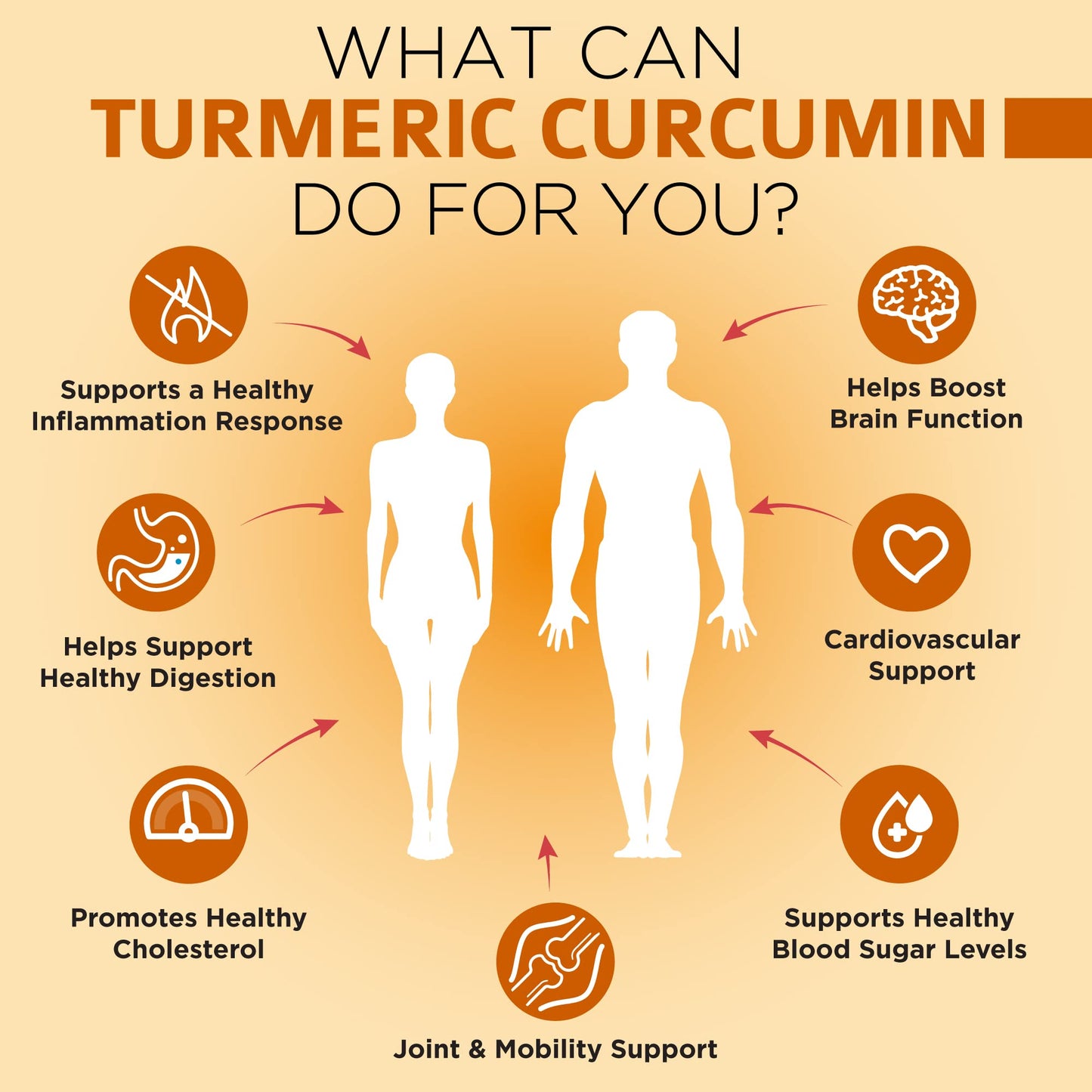 OmniBiotics 1500mg Turmeric Curcumin vegetarian capsule detail