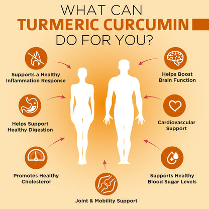 OmniBiotics 1500mg Turmeric Curcumin vegetarian capsule detail