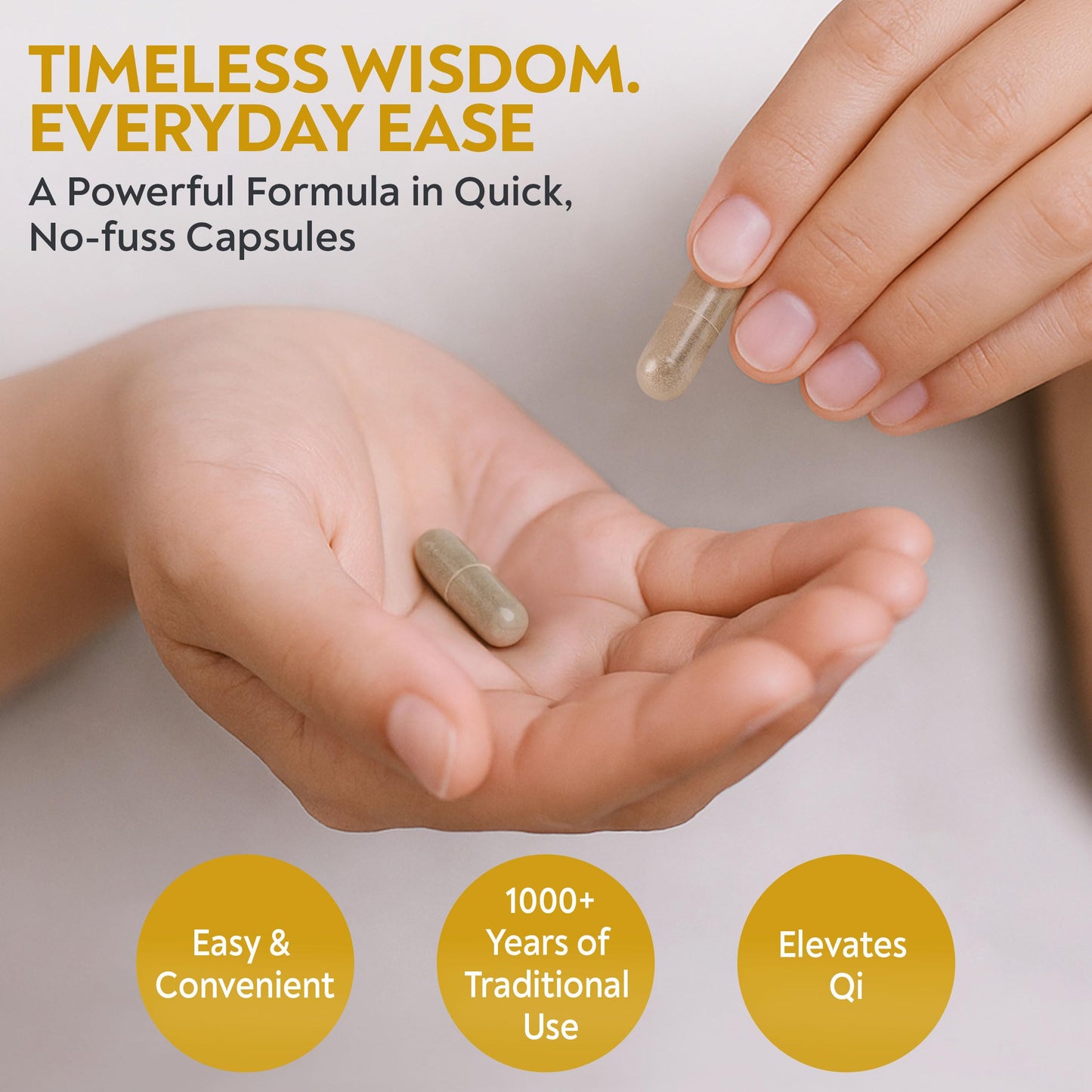 Authentic DAO Labs Ginseng and Astragalus blend capsules for digestive health support