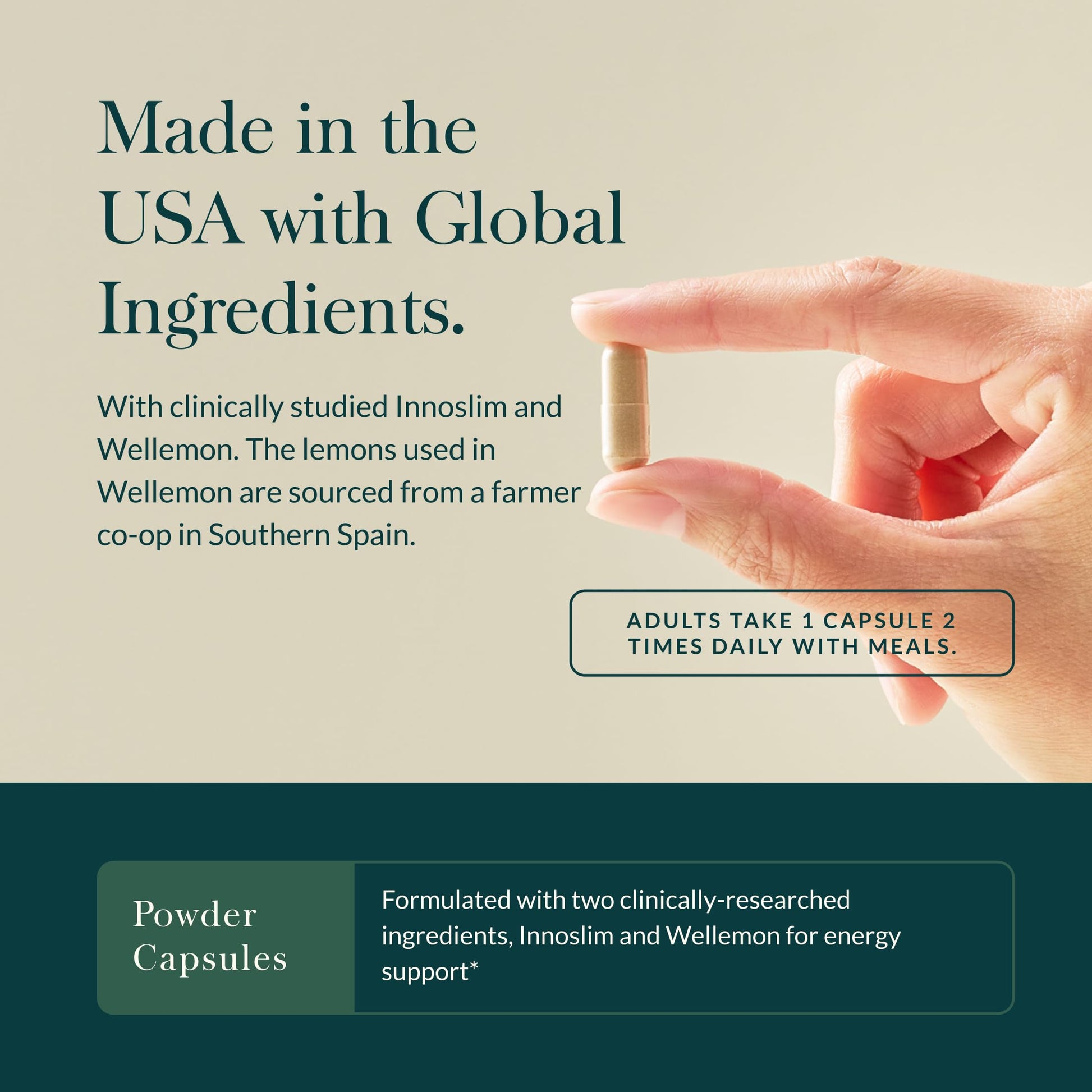 Authentic USA imported Gaia Herbs metabolism support capsules for daily cellular health.