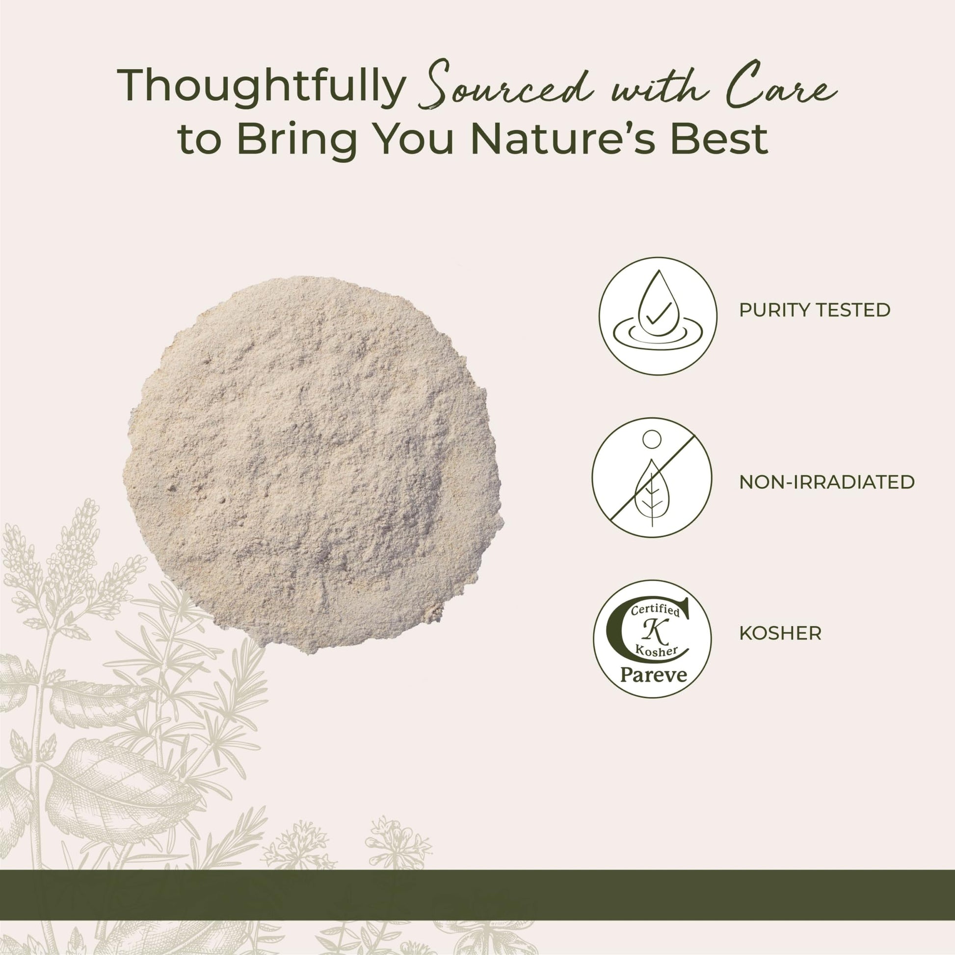 Starwest Botanicals Astragalus Root bulk bag standing on a clean countertop