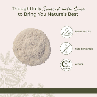 Starwest Botanicals Astragalus Root bulk bag standing on a clean countertop