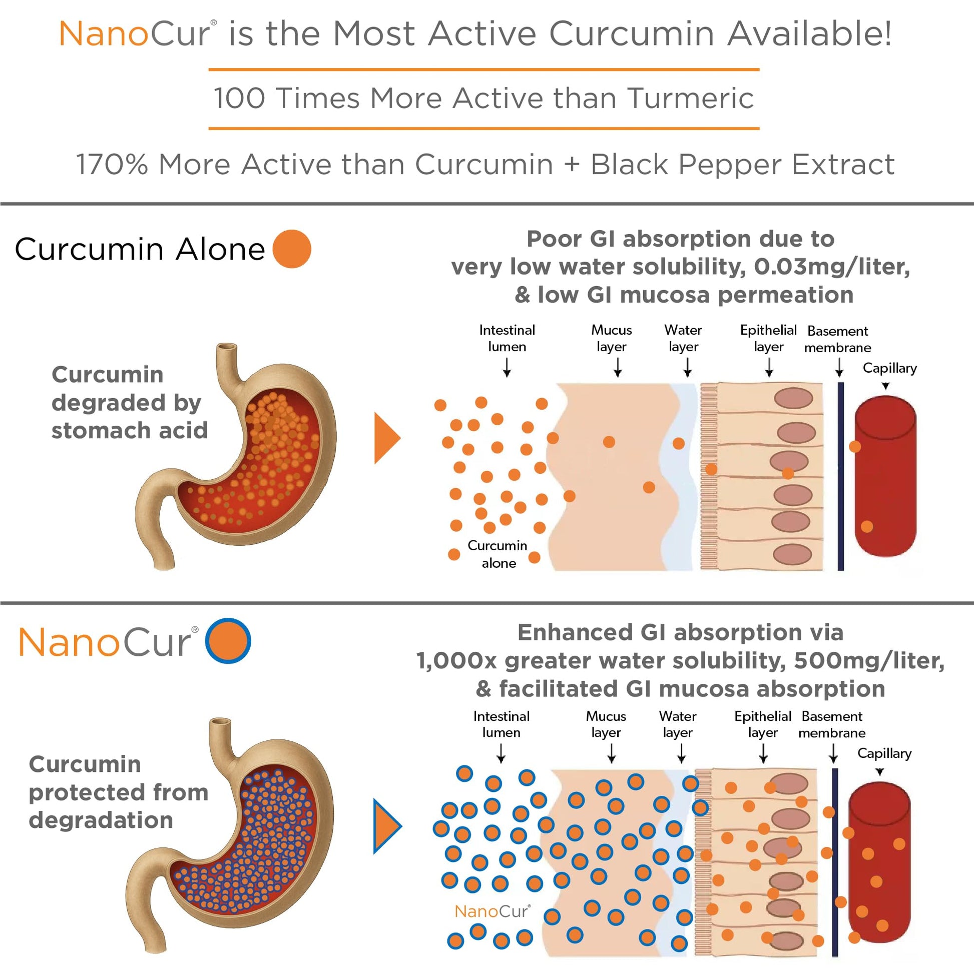 Side view of Nanocur 180 capsules dietary supplement bottle