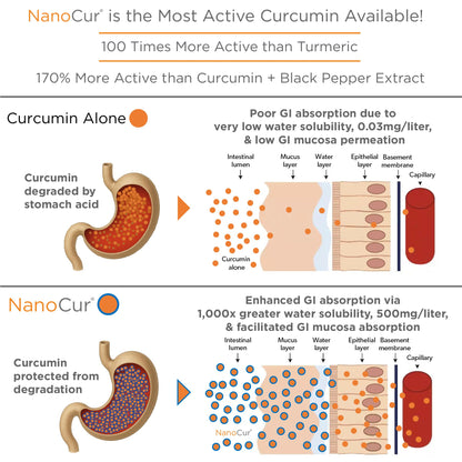 Side view of Nanocur 180 capsules dietary supplement bottle