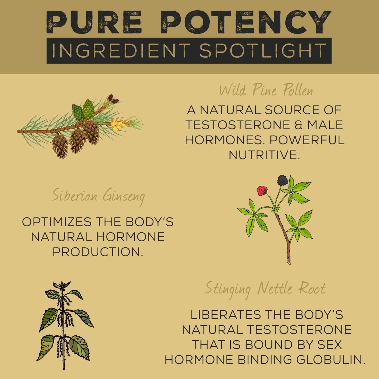 Back label of Surthrival Pure Potency Pine Pollen showing complete ingredient list and directions.