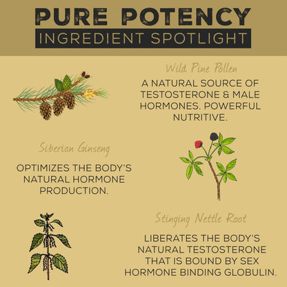 Back label of Surthrival Pure Potency Pine Pollen showing complete ingredient list and directions.