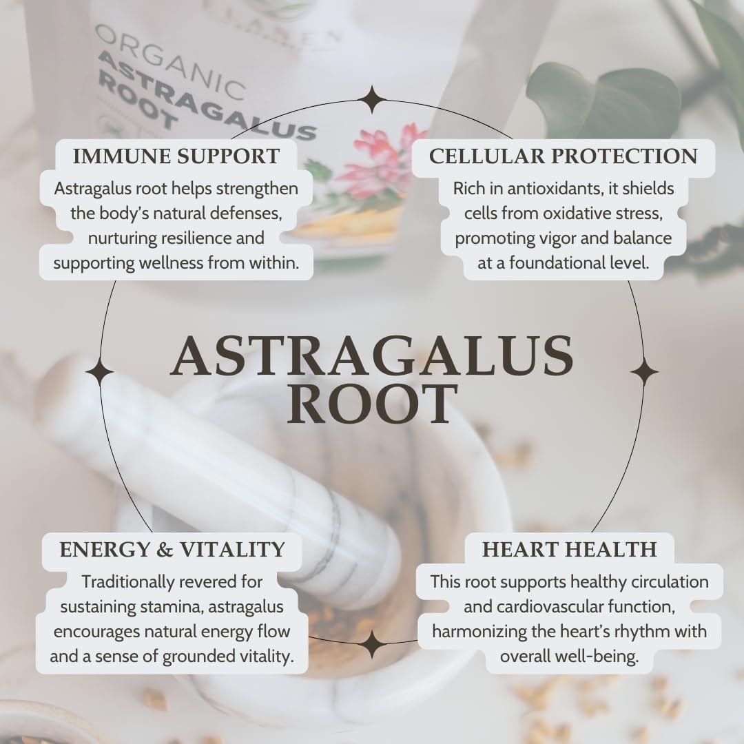 Organic astragalus membranaceus dried root pieces for herbal brewing.