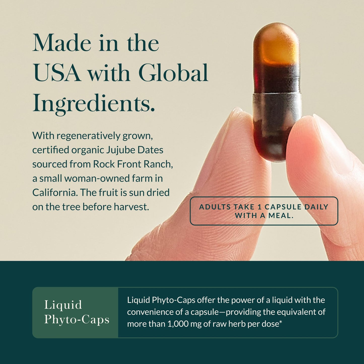 Authentic USA imported Gaia Herbs Gut Revival bottle highlighting non GMO and gluten free certifications.