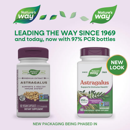 Nature's Way Astragalus 250mg supplement facts label showing standardized extract ingredients