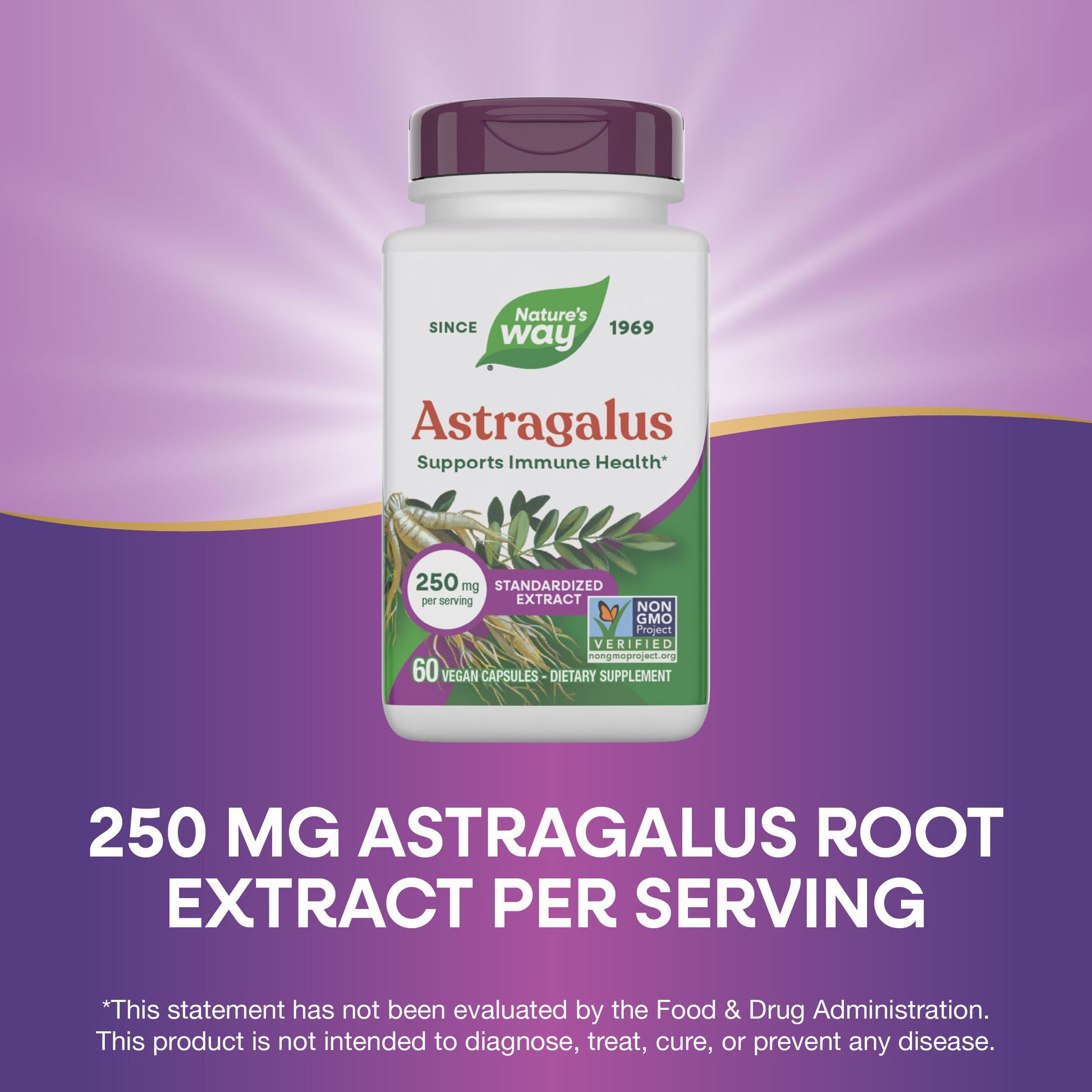 Back packaging of authentic USA imported Nature's Way Astragalus root dietary supplement