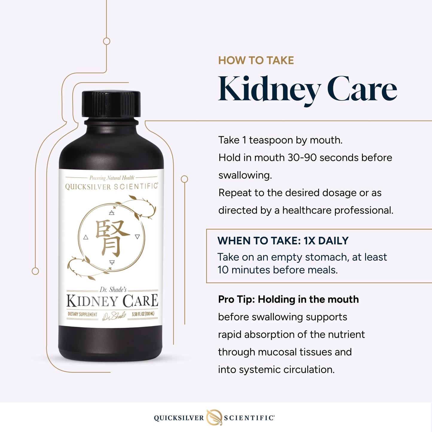 The complete retail packaging of Quicksilver Scientific Kidney Care detoxification liquid displaying the official batch codes and seals.