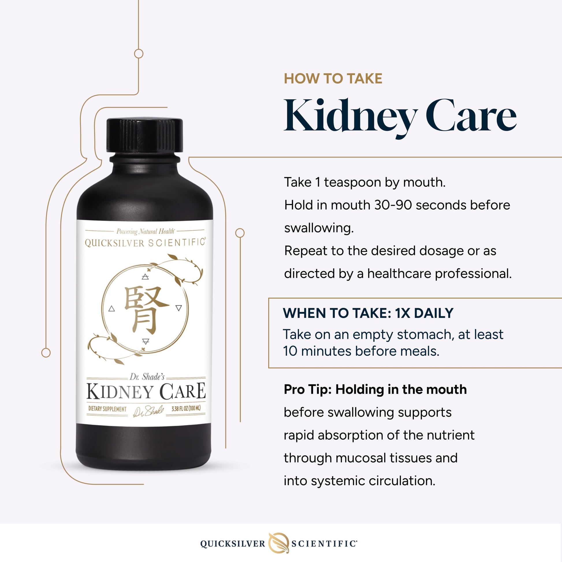 The complete retail packaging of Quicksilver Scientific Kidney Care detoxification liquid displaying the official batch codes and seals.