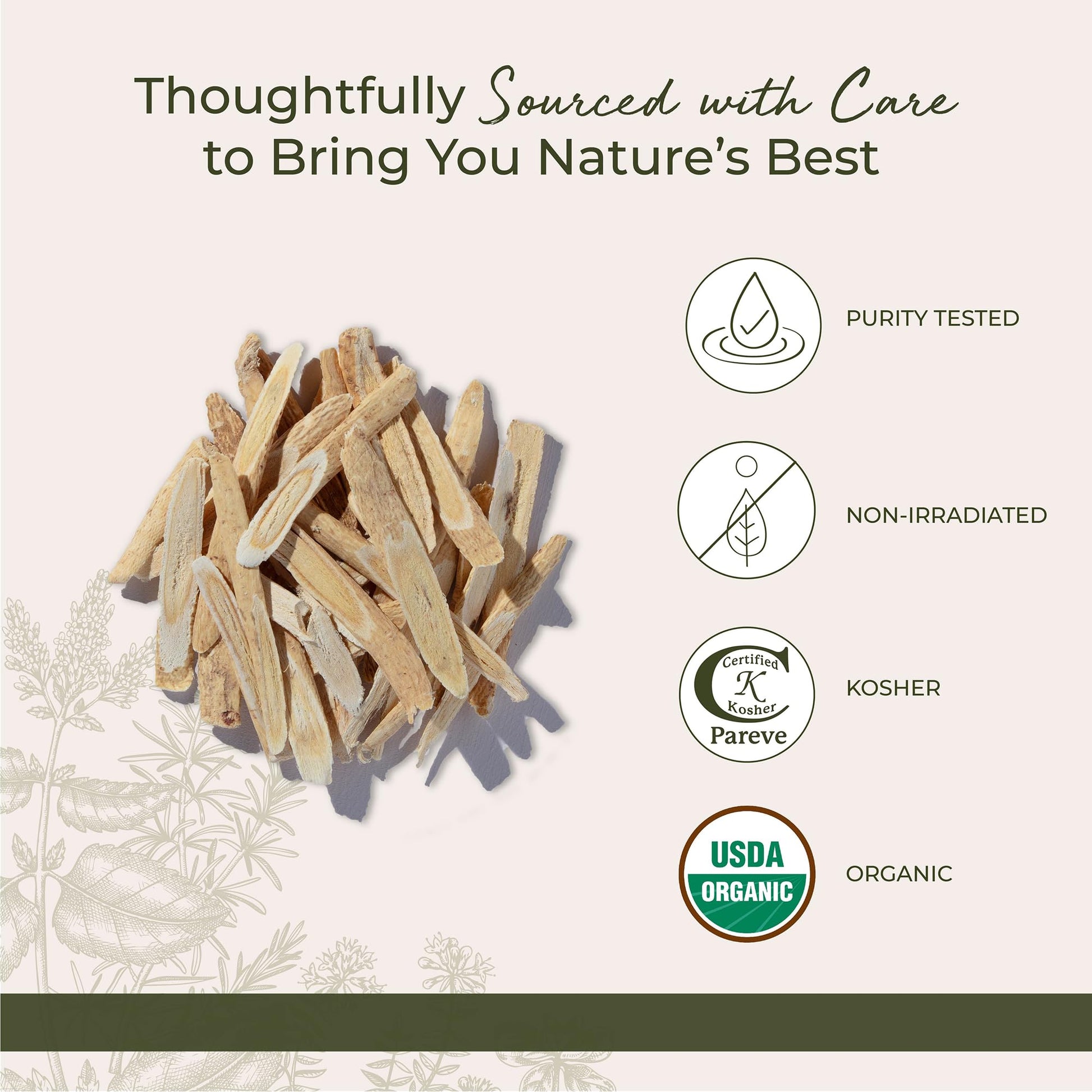 Close up view of the high quality fibrous texture of sliced astragalus membranaceus root for traditional remedies.