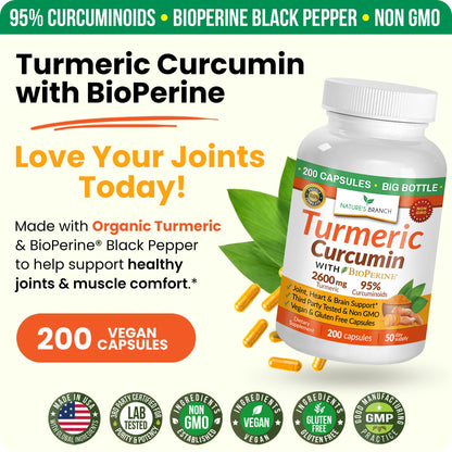 Top view of Natures Branch Turmeric Curcumin supplement bottle