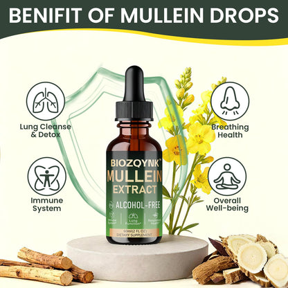 Supplement facts label on the back of Biozqynk Mullein Extract bottle.