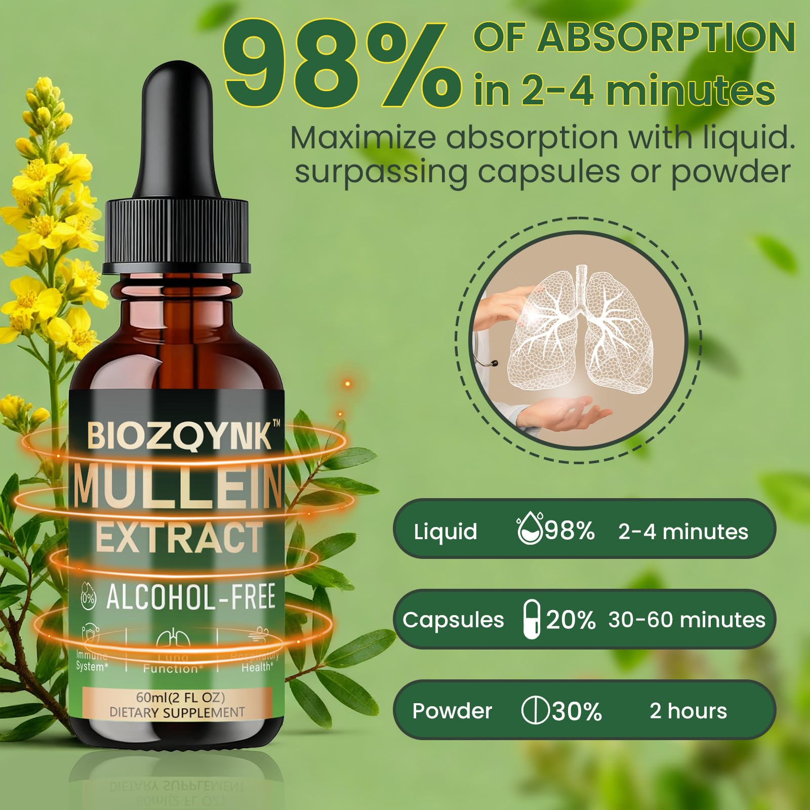 Premium Mullein Leaf and Licorice Root extract blend for clear airways.