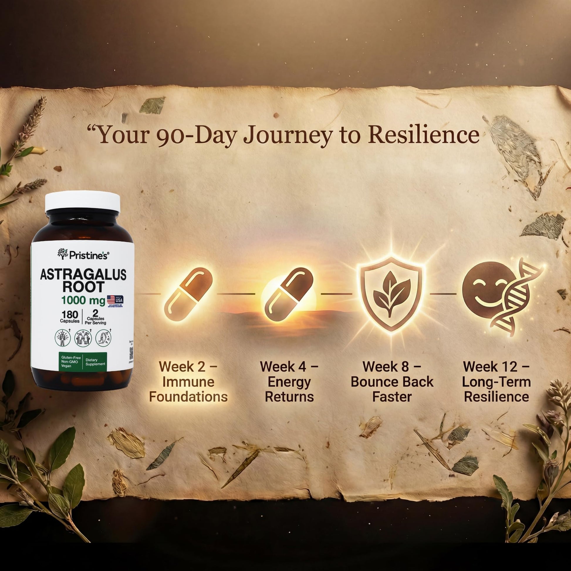 Pristine's Astragalus Root vegan capsules ninety day supply label layout close up