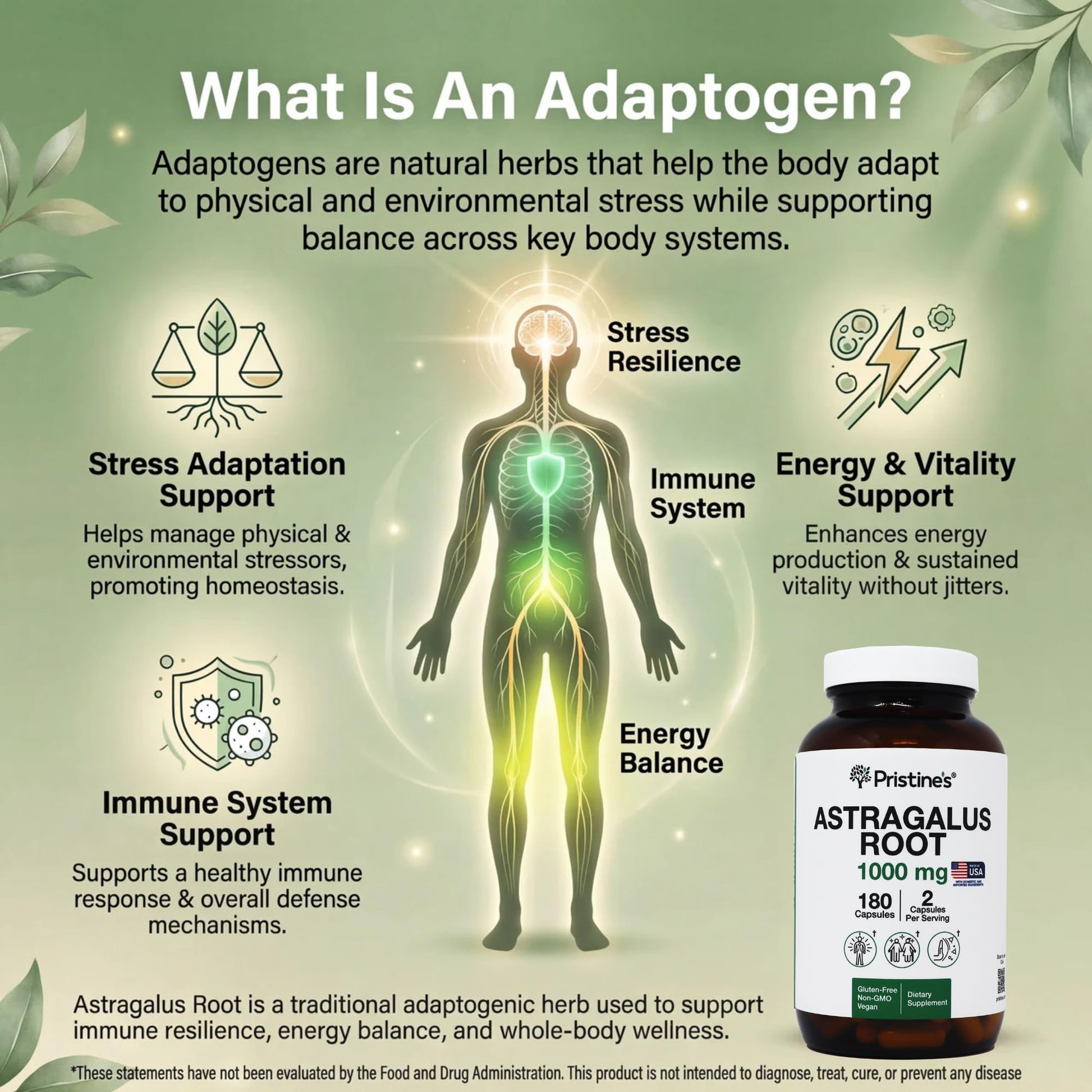 Pristine's Astragalus Root healthy aging capsules showing full size bottle dimensions