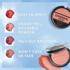 Covergirl TruBlend blush back label details