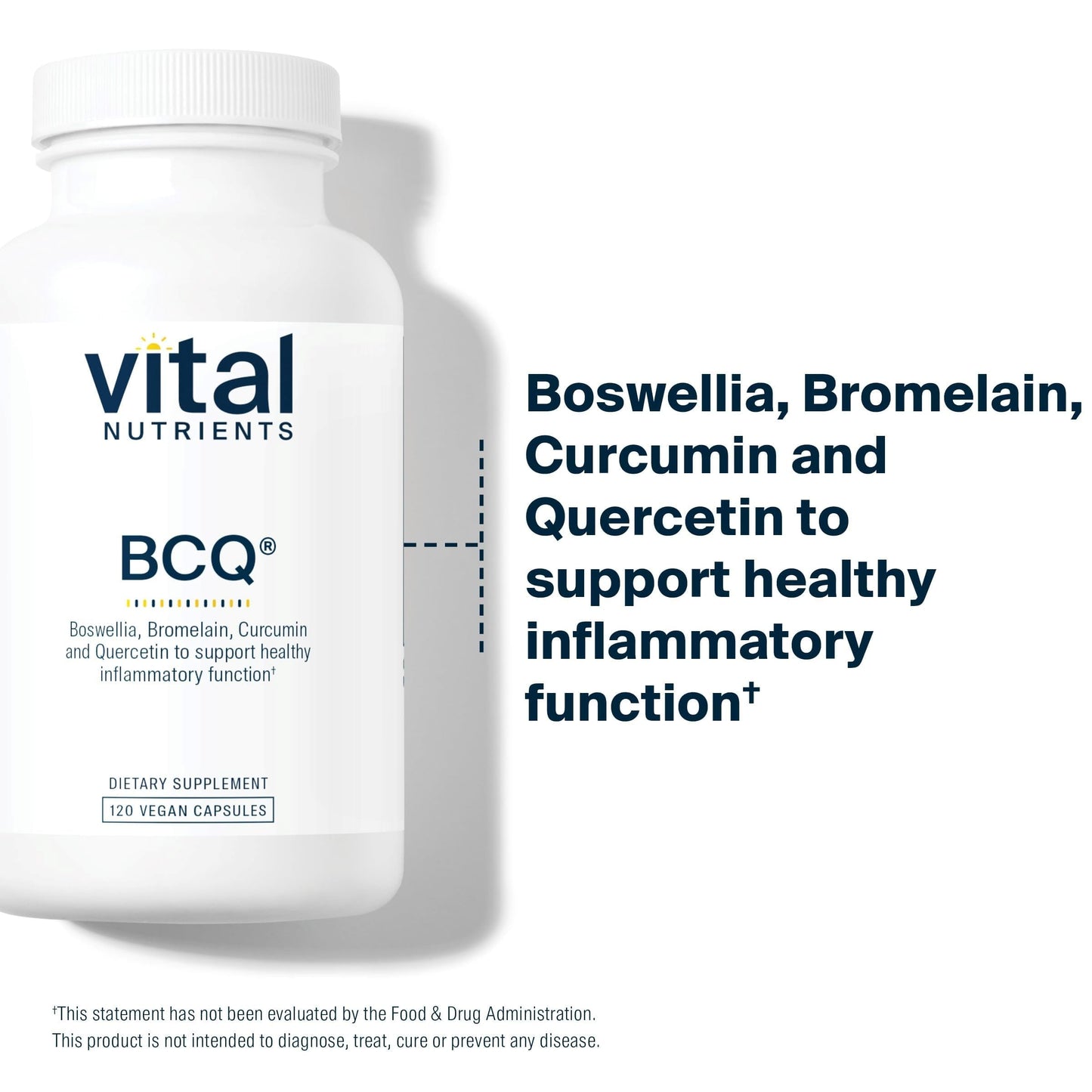 Vital Nutrients BCQ vegan capsules 120 count bottle side view