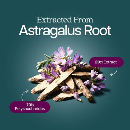Back label of Purely Holistic Astragalus 5000mg capsules detailing 70 percent polysaccharides ingredient facts and serving size