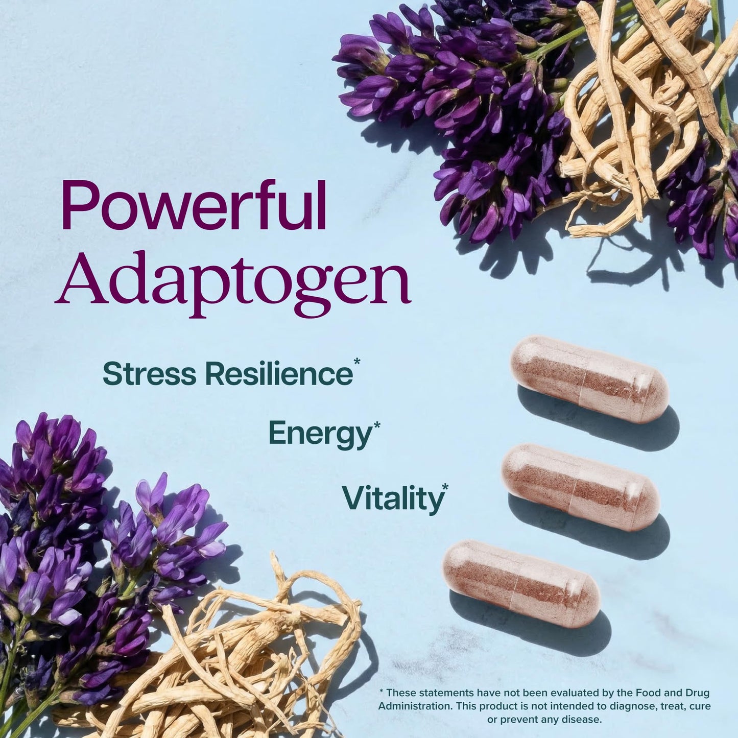 Top angle view of Purely Holistic herbal wellness supplement packaging emphasizing authentic imported USA quality