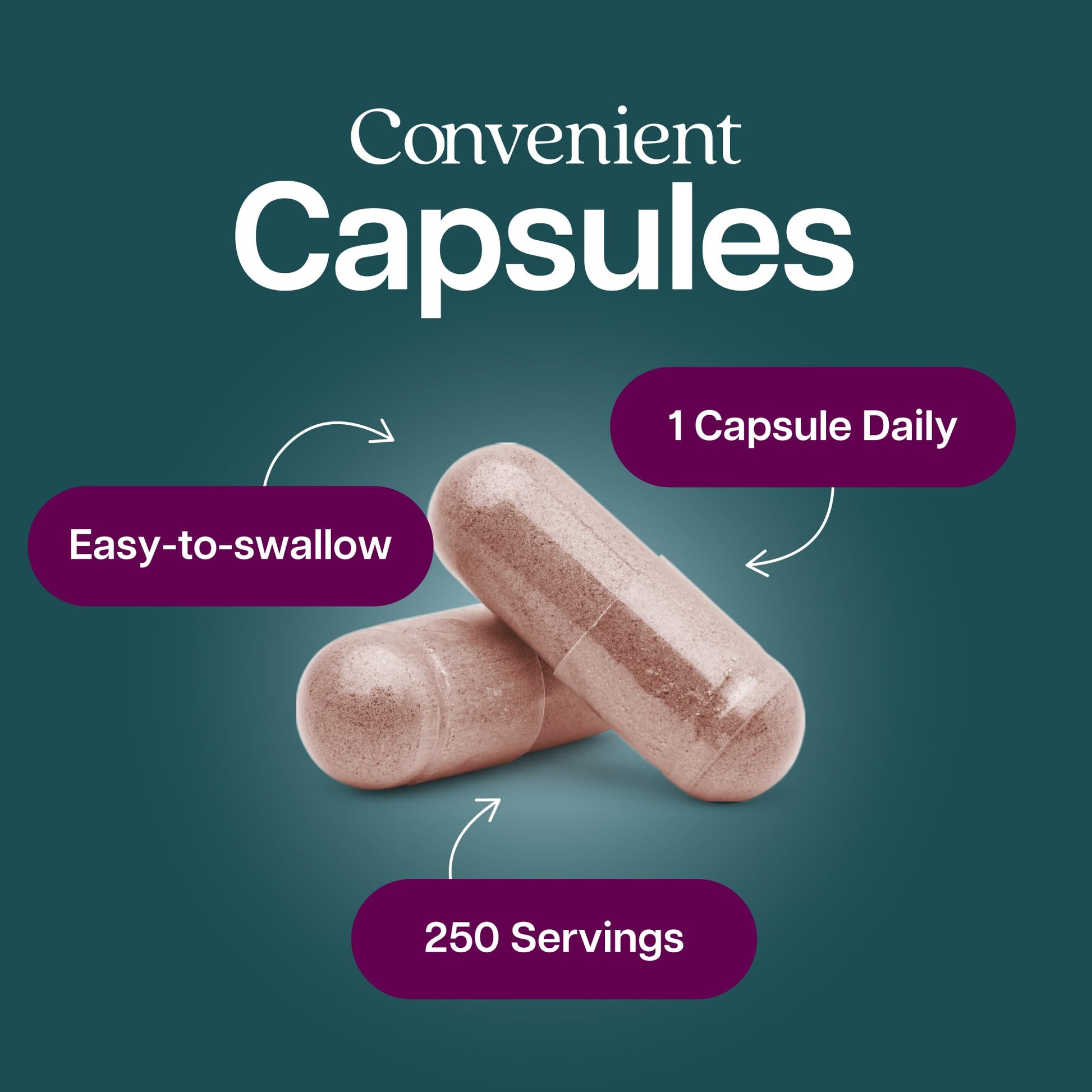 Purely Holistic Astragalus 5000mg capsules secure safety seal and premium bottle cap details clearly displayed