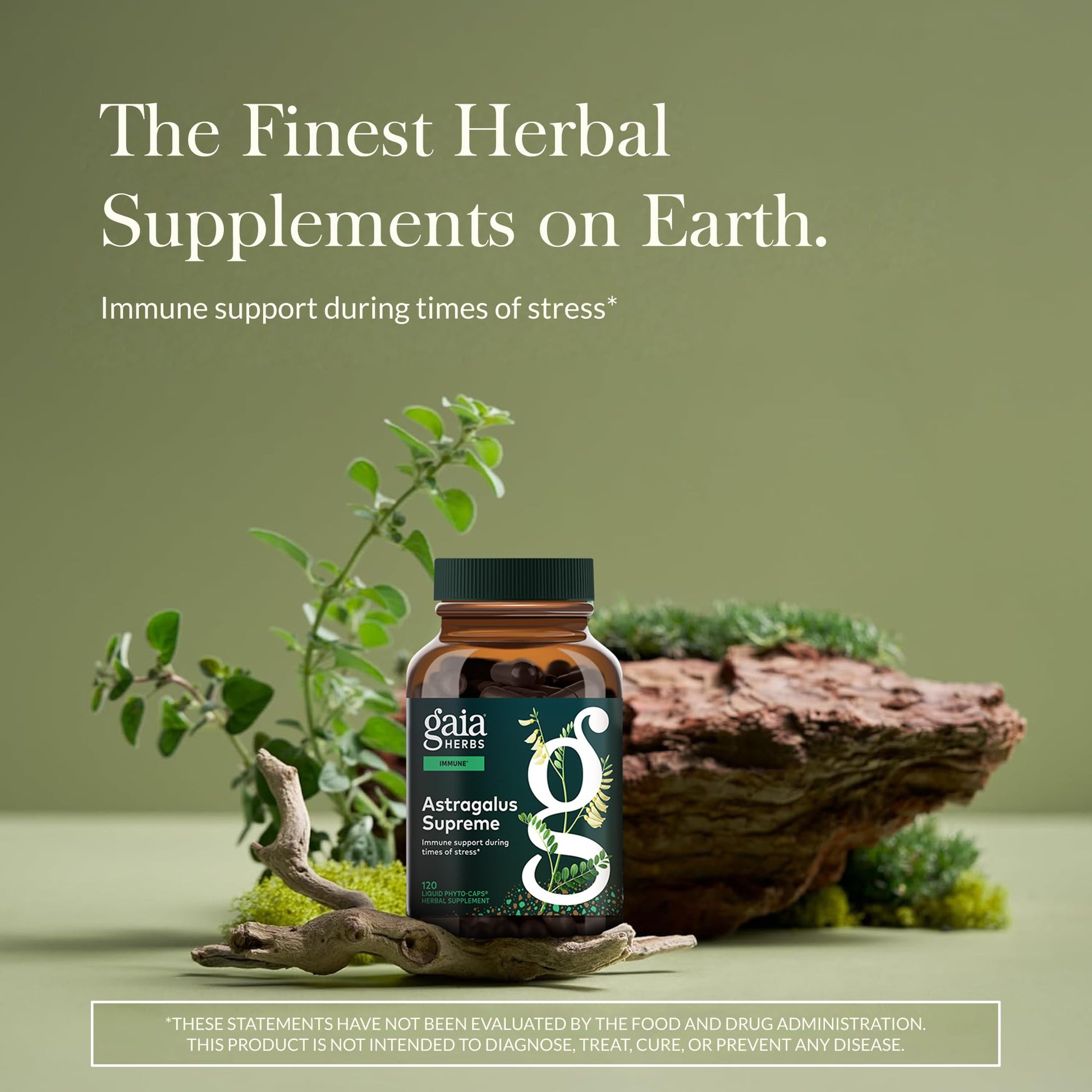 Gaia Herbs Astragalus Supreme supplemental facts and ingredients panel on the glass bottle label