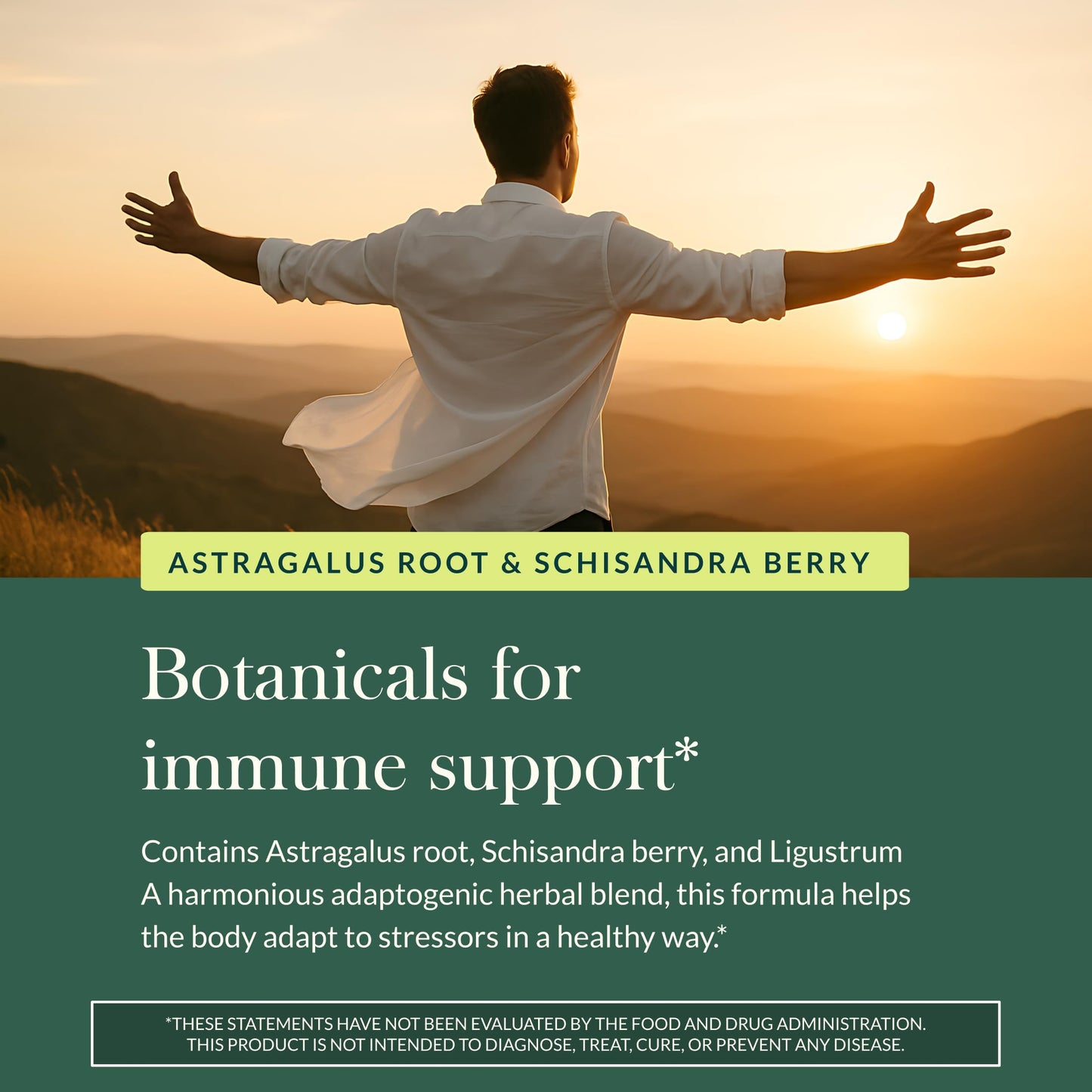 Close up of Gaia Herbs Astragalus Supreme capsule formulation featuring Schisandra and Ligustrum berries