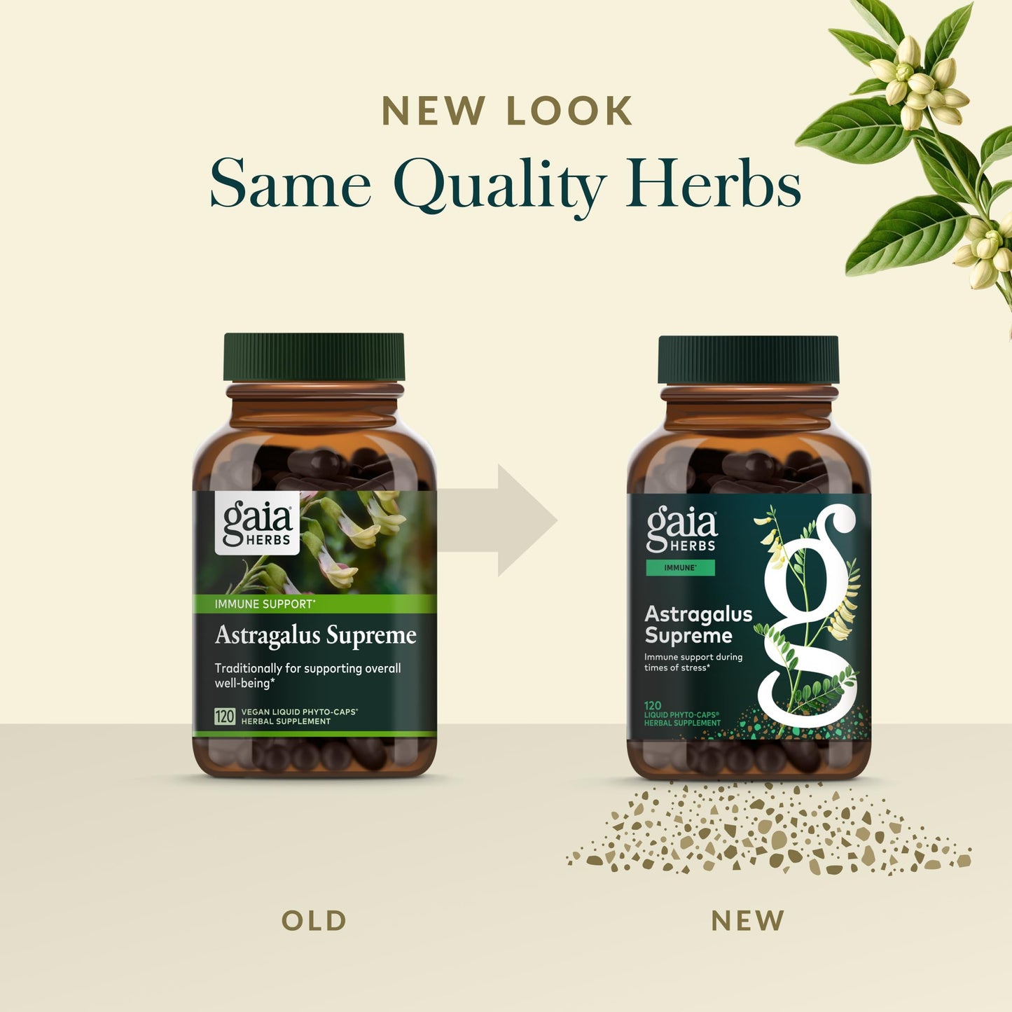Gaia Herbs Astragalus Supreme transparent bottle showing one hundred and twenty plant based capsules