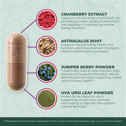 PurePremium kidney support health supplement with cranberry extract
