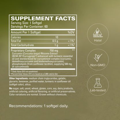 High potency BCM-95 curcumin complex supplement label