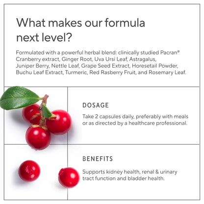 Sunergetic Kidney Cleanse supplement packaging displaying international quality manufacturing standards and brand authenticity