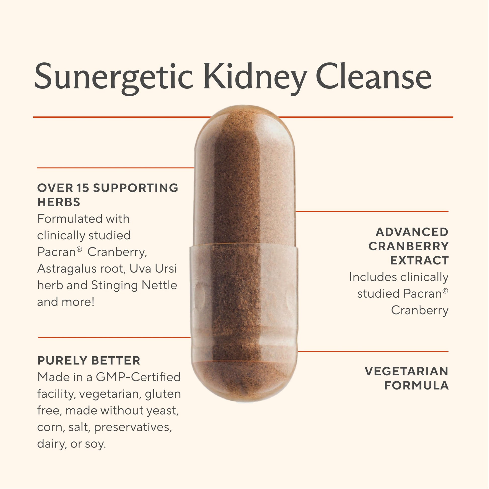 Sunergetic Kidney Support capsules container showcasing clean design and clear directional usage instructions