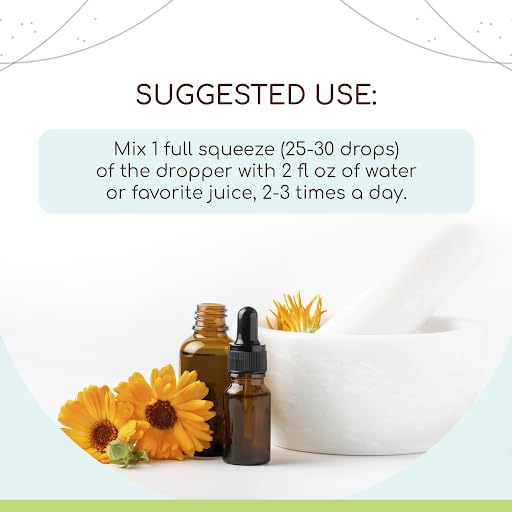 HerbEra Bacopa monnieri alcohol free liquid drops supplement facts label