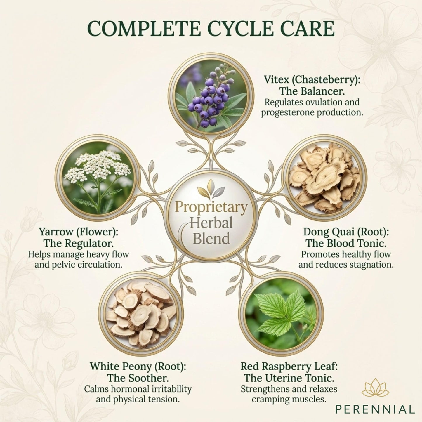 Perennial Healthy Cycles vegetarian capsules bottle showcasing USA imported premium hormonal support